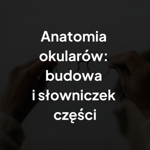 Anatomia okularów budowa i słowniczek części